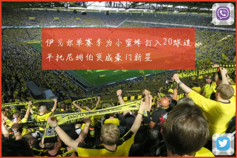 伊戈尔单赛季为小蜜蜂打入20球追平托尼姆伯莫成豪门新星
